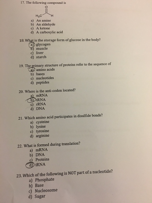 Solved The Following Compound Is A) An Amine B) An | Chegg.com