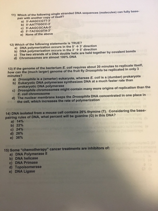 Multiple Choice Questions On Cancer Biology Cancerwalls