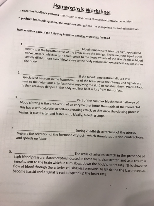 Solved Homeostasis Worksheet In negative feedba In positive | Chegg.com