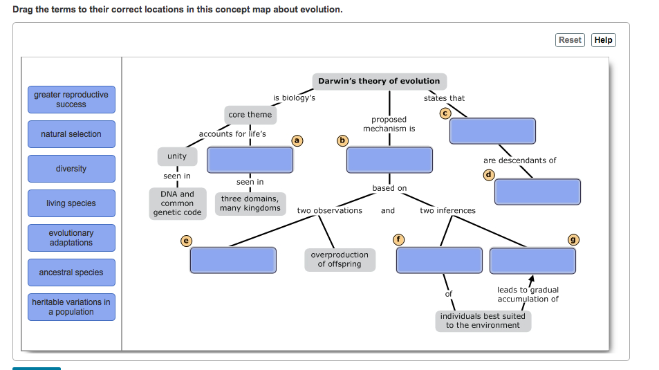 theory of evolution concept map Solved Drag The Terms To Their Correct Locations In This theory of evolution concept map