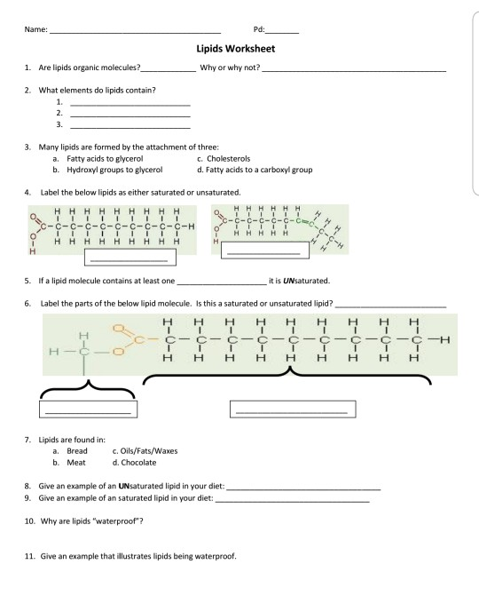 Solved Name: Pd: Lipids Worksheet 1. Are lipids organic | Chegg.com