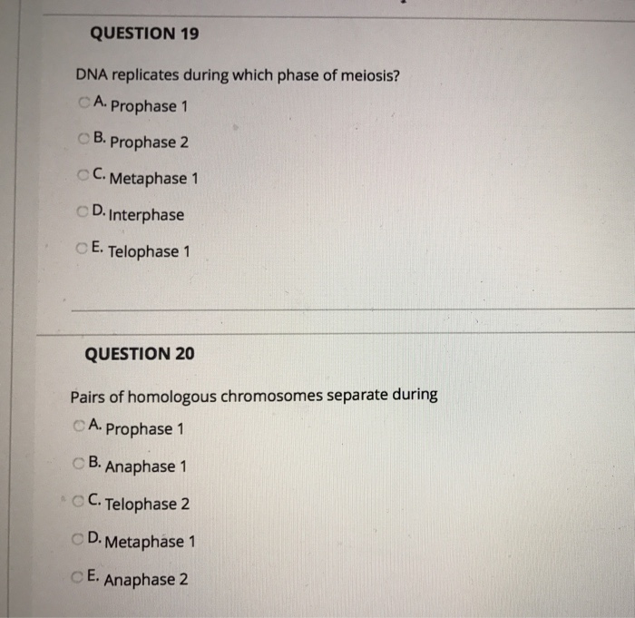 Solved Dna Replicates During Which Phase Of Meiosis Prop