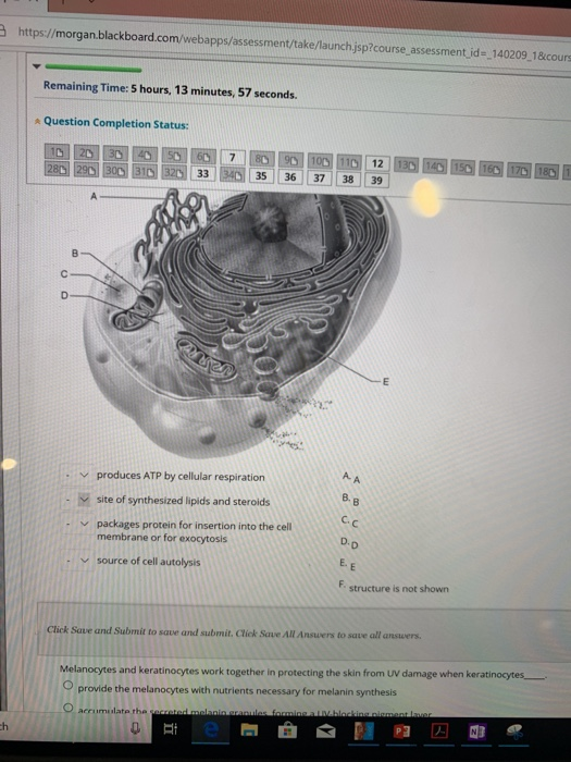 Solved Question | Chegg.com