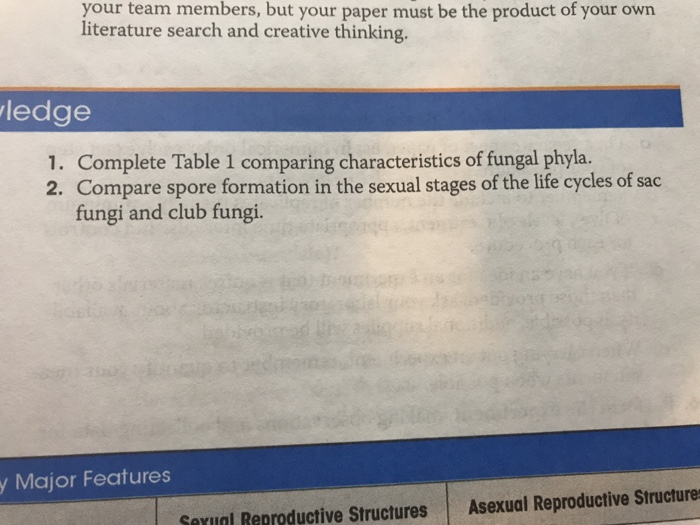 Solved Your Team Members But Your Paper Must Be The Product Chegg Com