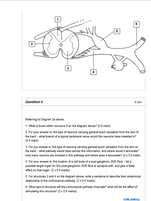 Skin Diagram Skin Anatomy Science Worksheets Human Body