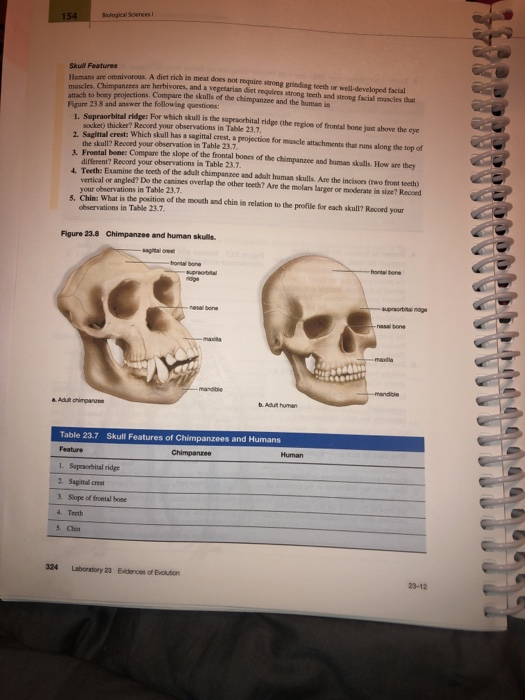 Inquiry Inco Life Laboratory Manual, 15th Edition