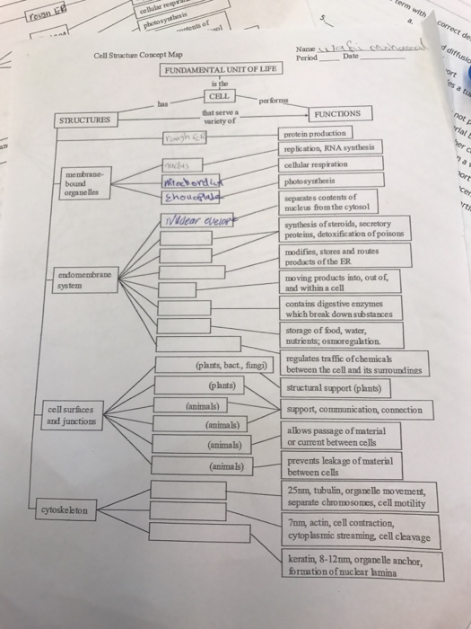 Mind Map Cell Structure And Function Solved Cell Structure Concept Map Fundamental Unitof Life | Chegg.com