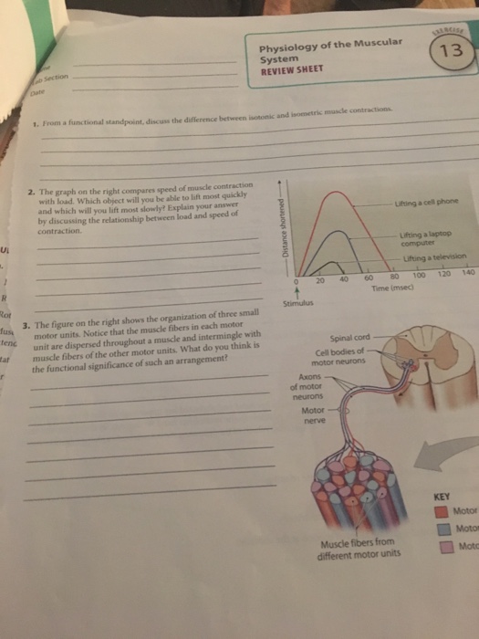 isometric vs isotonic contraction graph