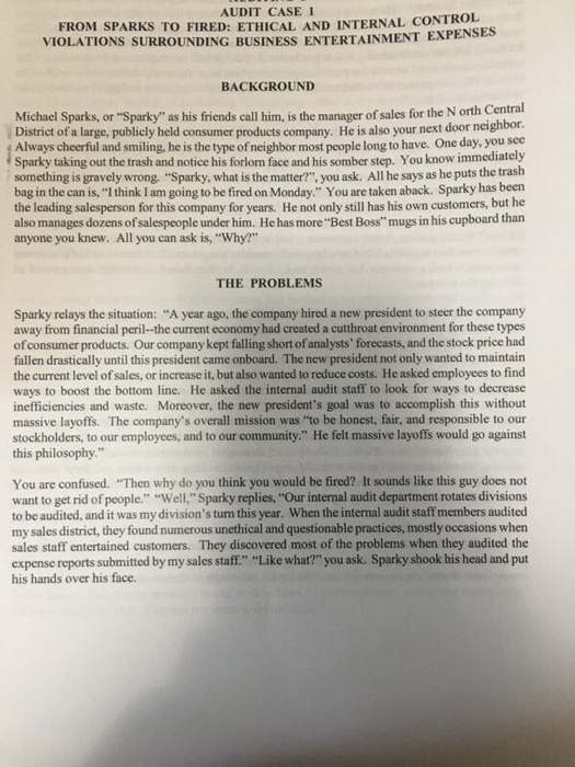 Auditing case study examples answers image