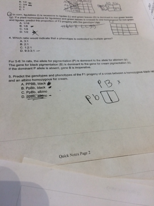 Solved D O E 1 In Corn Liguleless Is Recessive To L Chegg Com