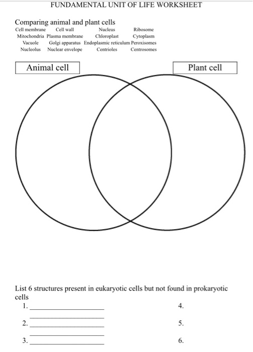 Fundamental Unit Of Life Worksheet Comparing Animal Chegg Com