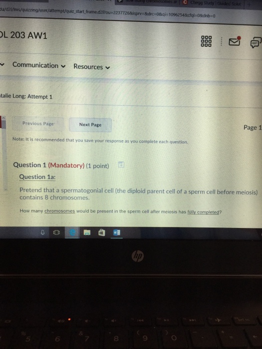 Sperm cell adaptations picture