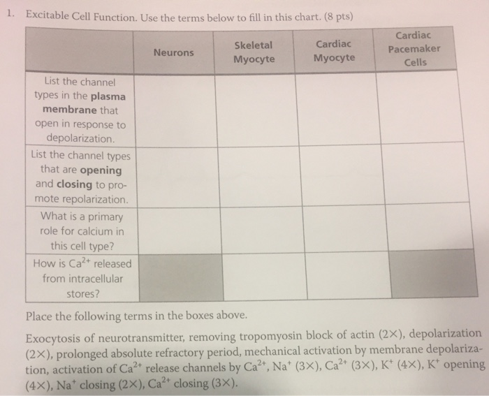 Cell Function Chart