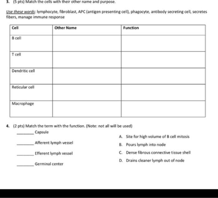 Solved 3 5 Pts Match The Cells With Their Other Name A Chegg Com