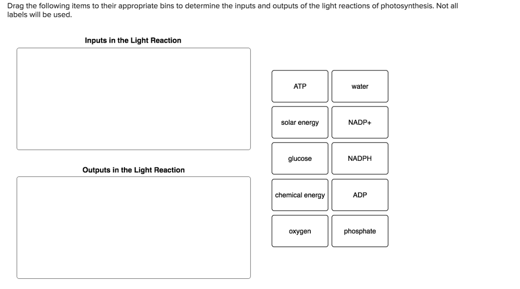 Drag The Following Items To Their Appropriate Bins To Chegg Com Drag The Following Items To Their Appropriate Bins To Chegg Com