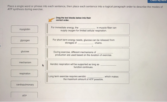 165+ H Words, Phrases, Sentences, & Paragraphs Grouped by Place & Syllable