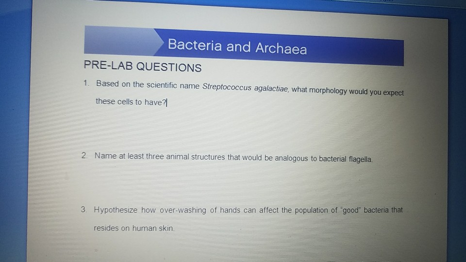 Solved: Can Someone Help Me Answer These Pre Lab Questions ...