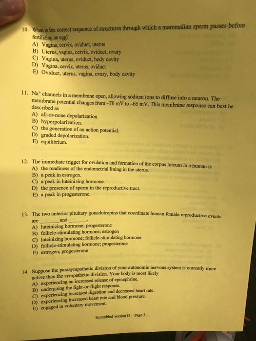 Solved 10 Wha Is The Correct Sequence Of Structures Thro - 