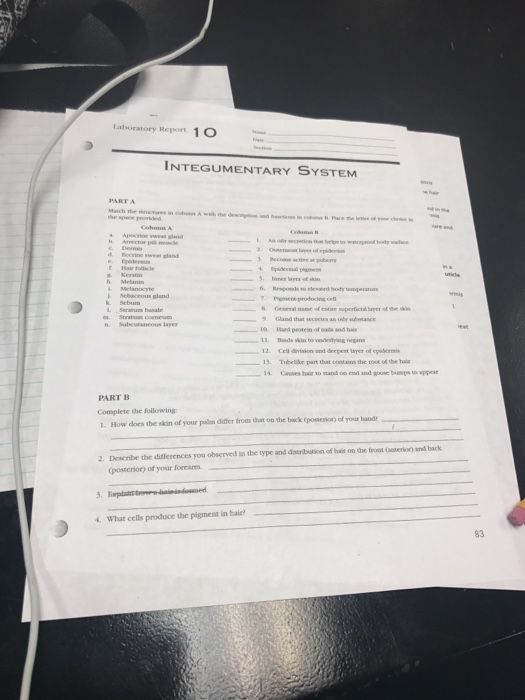 Laboratory Report 1 O Integumentary System Responds Chegg 