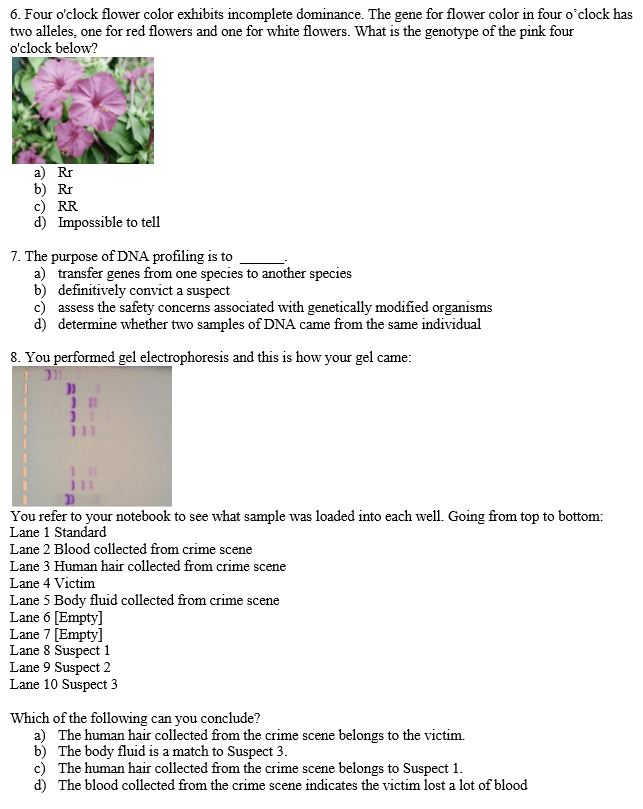 Solved 6 Four O Clock Flower Color Exhibits Incomplete D Chegg Com