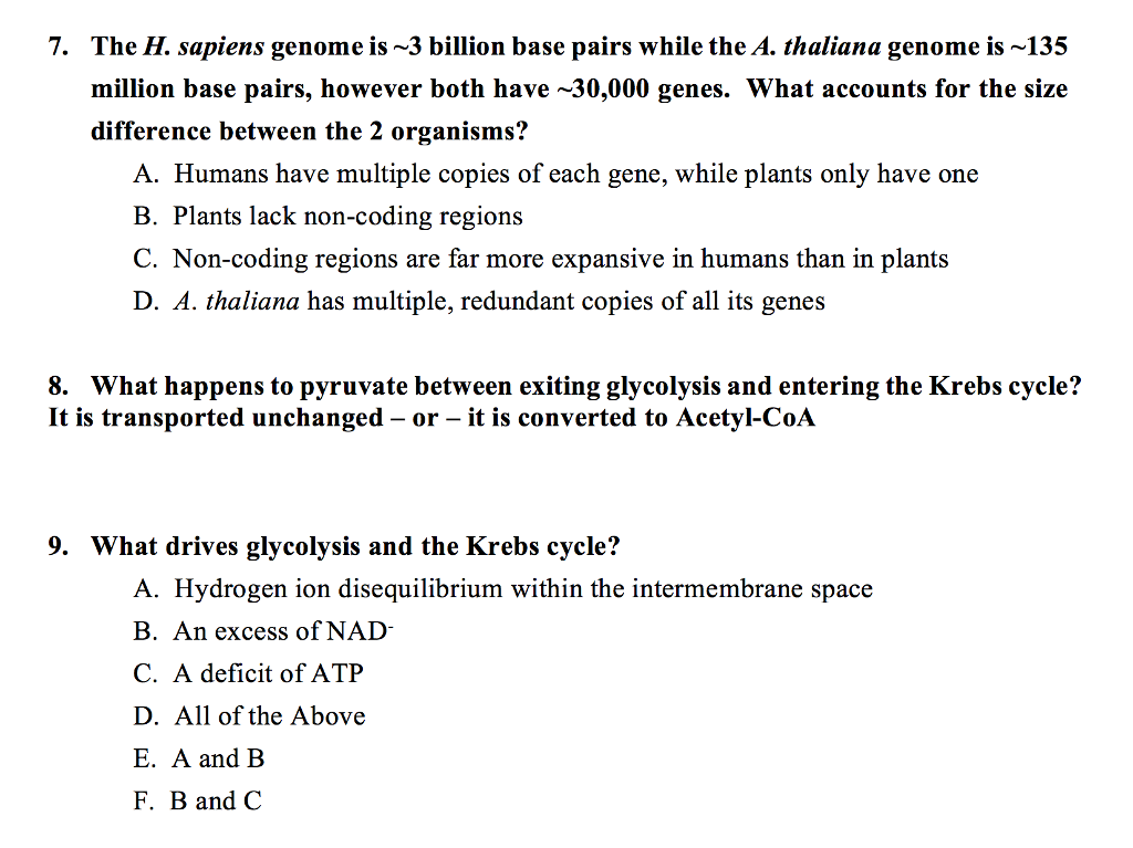 The H Sapiens Genome Is 3 Billion Base Pairs While The A The H Sapiens Genome Is 3 Billion Base Pairs While The A