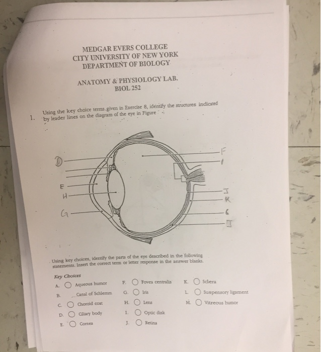 how to insert dot leader lines how to insert dot leader lines