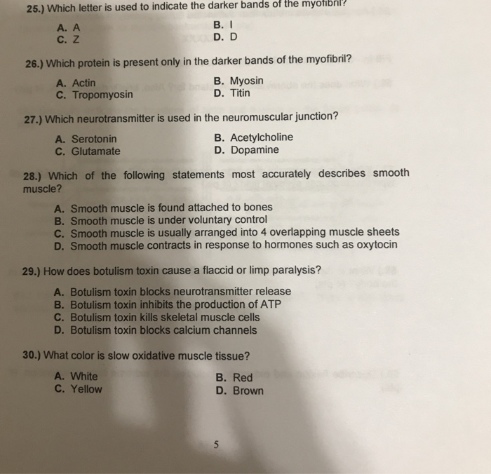 Solved Of The Myotıbnl? 25.) Which Letter Is Used To | Chegg.com Solved Of The Myotıbnl? 25.) Which Letter Is Used To | Chegg.com