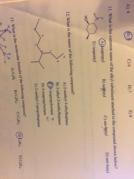 What Is The Common Name Of The Alkyl Substituent Attached To The Compound Shown Below