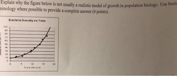 None provided41 essay 08 image
