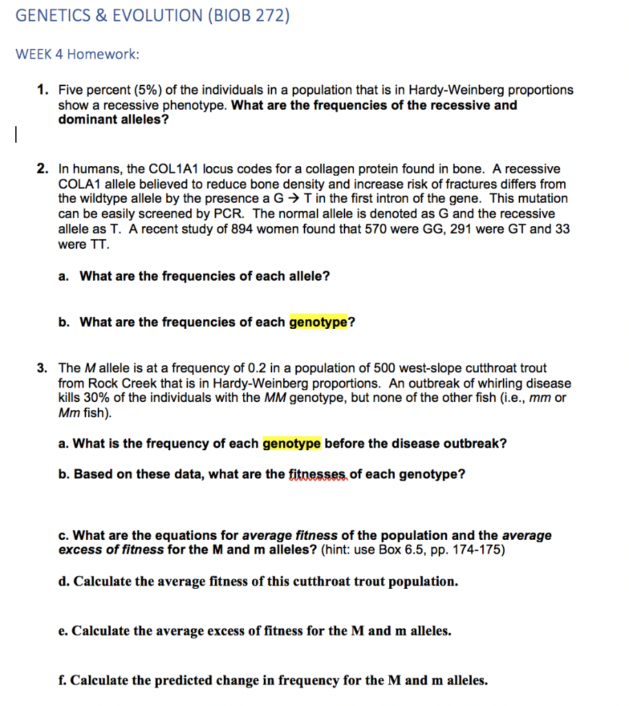 Mendel genetics picture