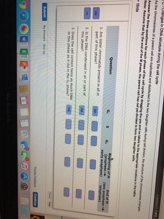 1 Of 3 L Changes In Dna Structure During The Cell Chegg Com