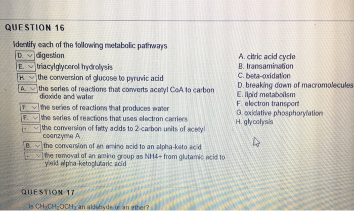 Solved Question 16 Identify Each Of The Following Metabolic | Chegg.com