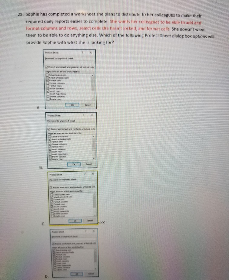 23. Sophie has completed a worksheet she plans to distribute to her colleagues to make their required daily reports easier to