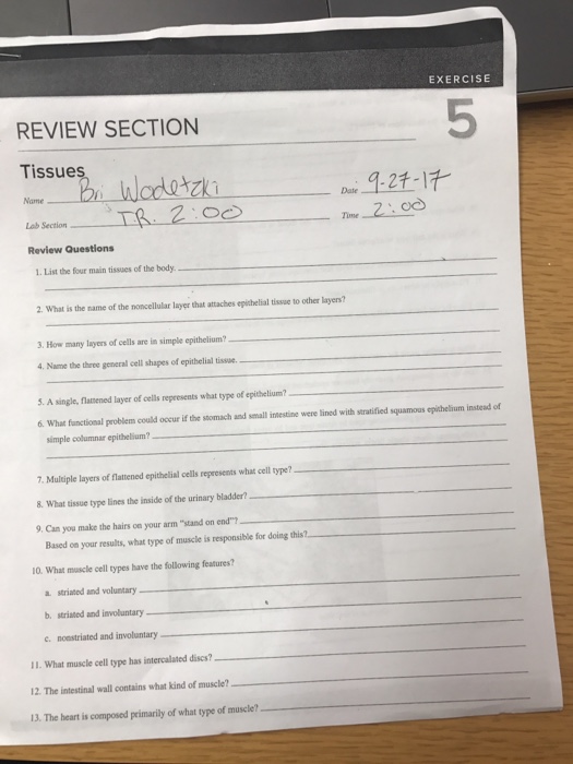 Exercise 5 Review Section Tissue Lab Section Time Chegg 