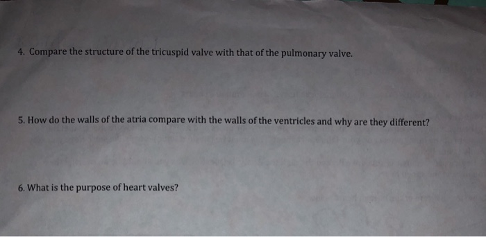 4. Compare the structure of the tricuspid valve with that of the pulmonary valve 5. How do the walls of the atria compare with the walls of the ventricles and why are they different? 6. What is the purpose of heart valves?