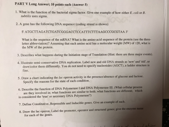 long answer 10 points each