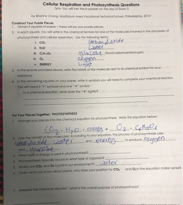 Spice of Lyfe: Chemical Equation For Cellular Respiration Quizlet