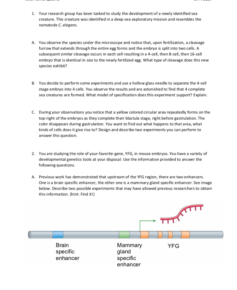 1 Yourresearch Group Has Been Tasked To Study The Chegg Com