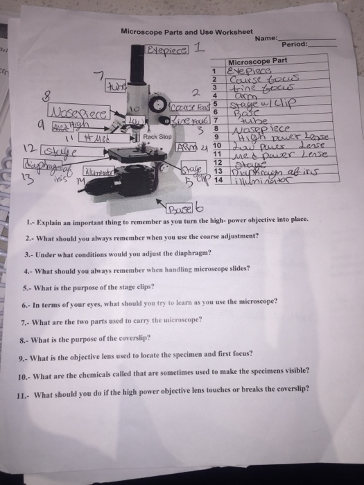 parts of a microscope worksheet answers