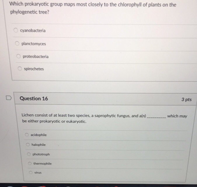 ♘ Which prokaryotic group is most closely related to eukaryotes