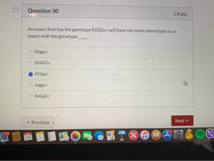 chegg