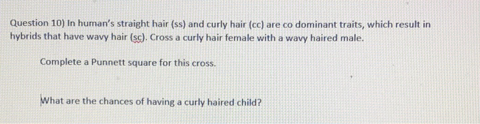 Solved Question 10 In Human S Straight Hair Ss And Cur