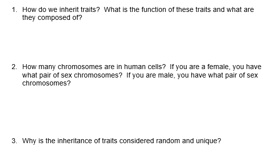 where are chromosomes located what are they composed of