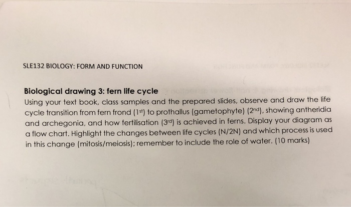 Sle132 Biology Form And Function Biological Drawing Chegg Com