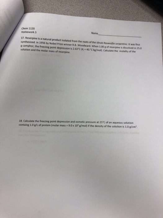 internet essay argumentative graphic organizer example
