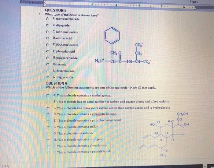 Solved Styles Question 5 What Type Of Molecule Is Shown H Chegg Com