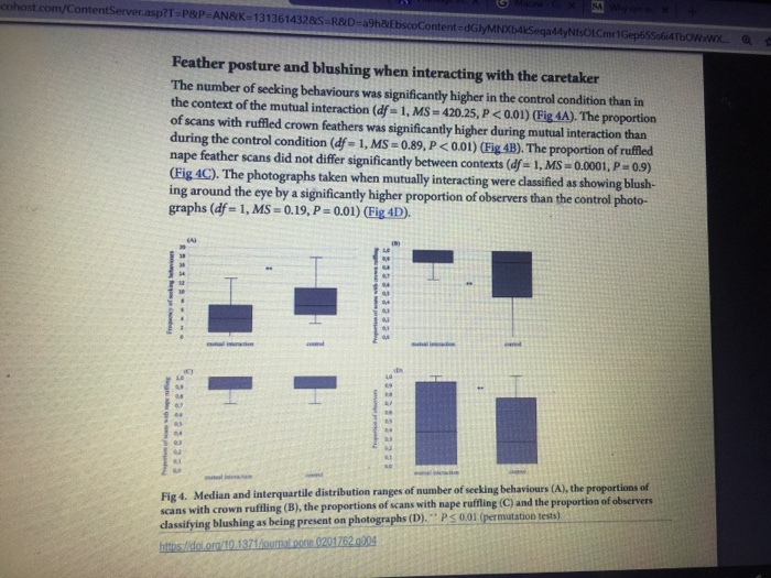 ContentServer.asp?T P&P-AN&K-1313614328S R&D-a9h&l Feather posture and blushing when interacting with the caretaker The number of seeking behaviours was significantly higher in the control condition than in the context of the mutual interaction (df- 1, MS-420.25, P <0.01) (Fig 4A). The proportion of scans with ruffled crown feathers was significantly higher during mutual interaction than during the control condition (df- 1,MS-0.89, P<0.01) (Eig 4B) nape feather scans did not differ significantly between contexts (df- 1, MS-0.0001, P-09) (Eig 4C). The photographs taken when mutually interacting were dlassified as showing blush- ing around the eye by a significantly higher proportion of observers than the control photo- graphs (df.. i, Ms-0.19, P 0.01) (Fİg4D). The proportion of ruffled 丄 Median and interquartile distribution ranges of number of seeking behaviours (A), the proportions of ns with crown rufling (B), the proportions of scans with nape ruffling (C) and the proportion of observers Fig 4. classifying blushing as being present on photographs (D). PS001 (permutation tests)
