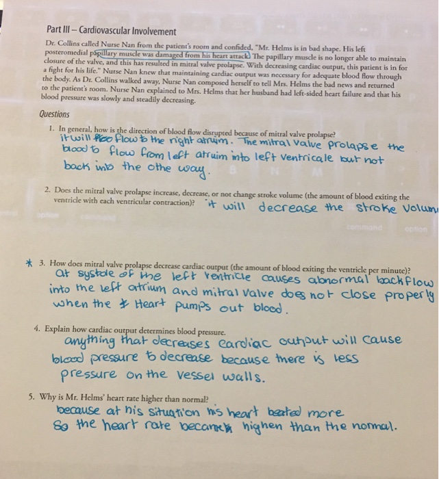 Valve's way case study image