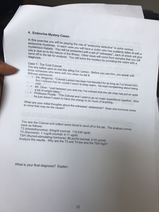 Timothy case study answers picture