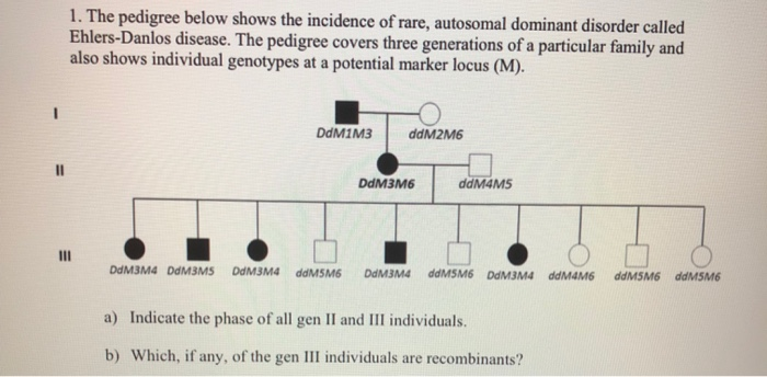 1. The pedigree below shows the incidence of rare, autosomal dominant disorder called Eh lers-Danlos disease. The pedigree covers three generations of a particular family and also shows individual genotypes at a potential marker locus (M). DdM1M3 ddM2M6 DdM3M6ddM4MS DdM3M4 DdMBMS DdM3M4 ddMSM6 DdM3M4 ddMSM6 DdM3M4 ddM4M6 ddMSM6 ddMSM6 a) Indicate the phase of all gen II and III individuals. b) Which, if any, of the gen III individuals are recombinants?